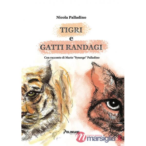 Tigri e gatti randagi