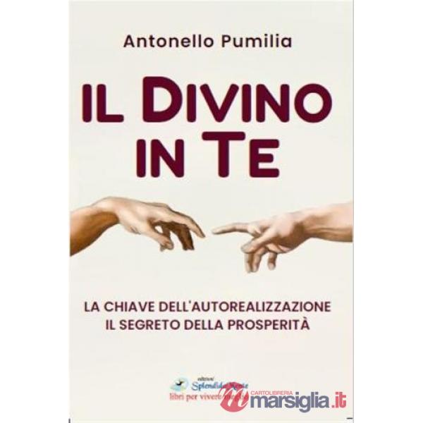 Divino in te. La chiave dell'autorealizzazione. Il segreto della prosperità (Il)