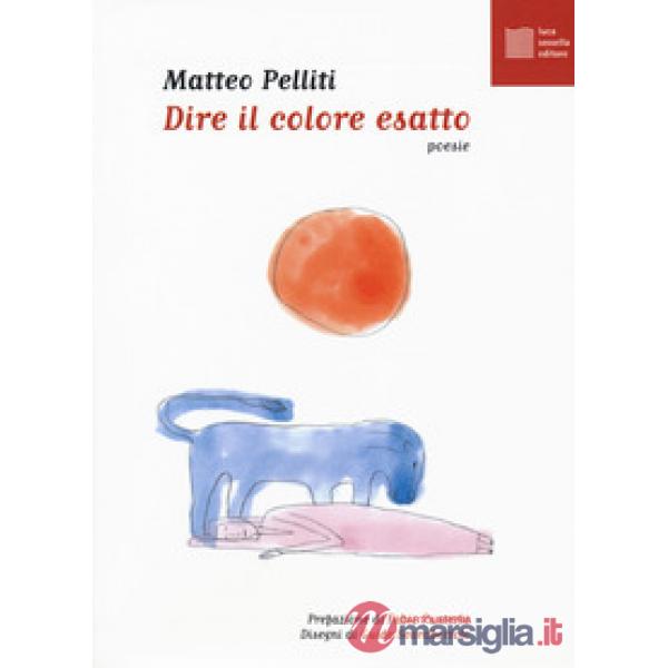 Dire il colore esatto