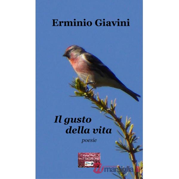 Gusto della vita (Il)