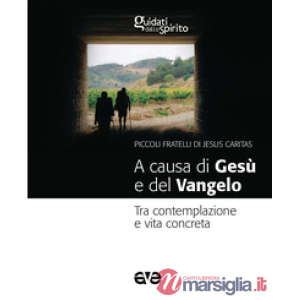 A causa di Gesù e del Vangelo. Tra contemplazione e vita concreta