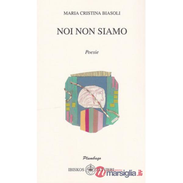 Noi non siamo
