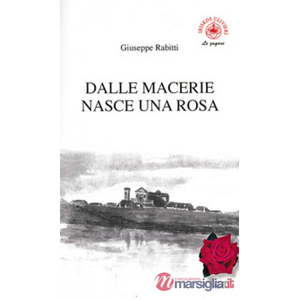 Dalle macerie nasce una rosa