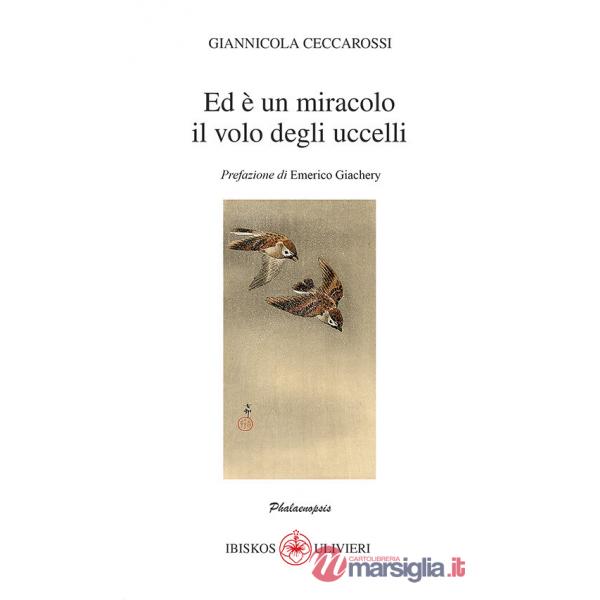 Ed è un miracolo il volo degli uccelli