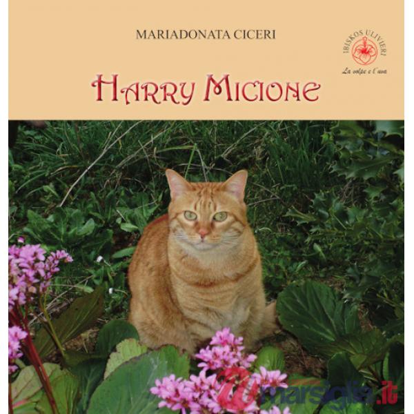 Harry micione