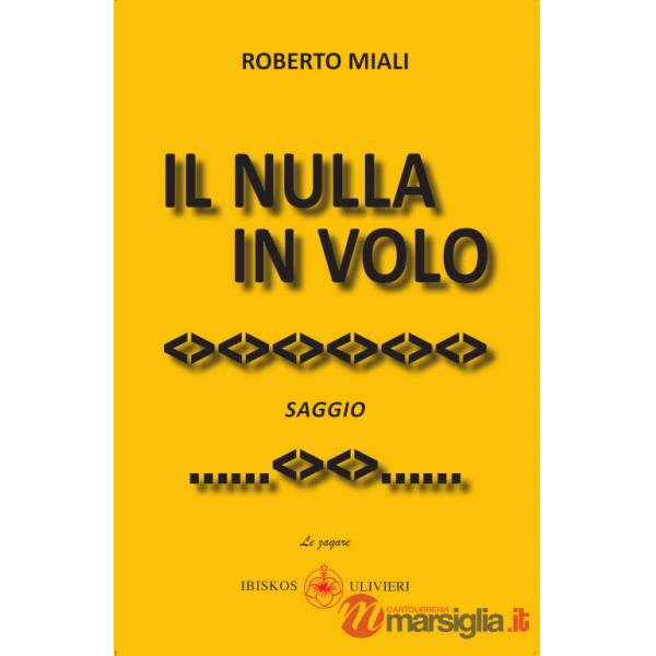 Nulla in volo. Ediz. illustrata (Il)