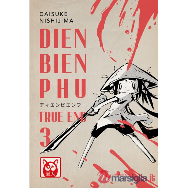 Dien Bien Phu. Vol. 3