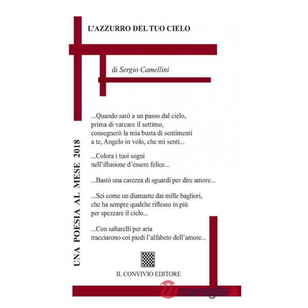 Azzurro del tuo cielo (L')