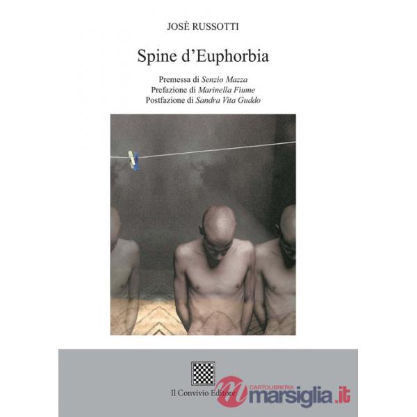 Spine d'euphorbia