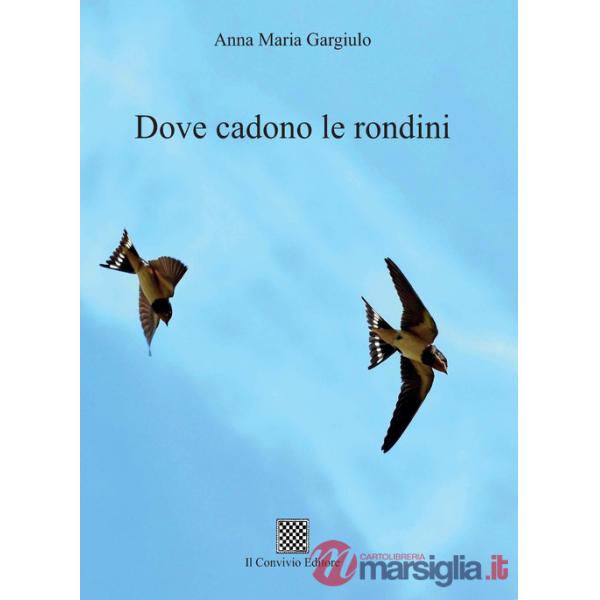 Dove cadono le rondini