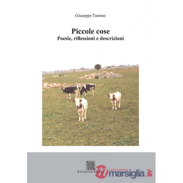Piccole cose. Poesie, riflessioni e descrizioni