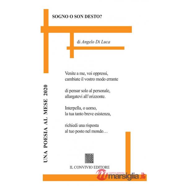 Sogno o son desto?