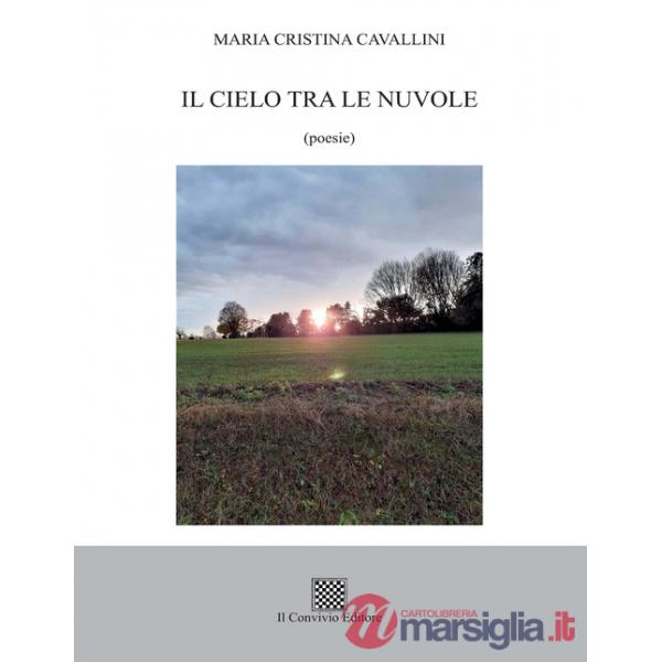 Cielo tra le nuvole (Il)
