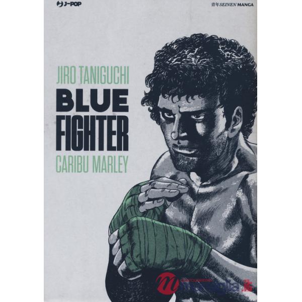 Blue fighter