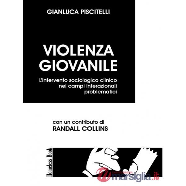 Violenza giovanile. L'intervento sociologico clinico nei campi interazionali problematici