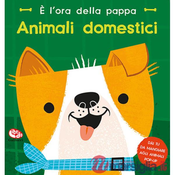 Animali domestici. È l'ora della pappa