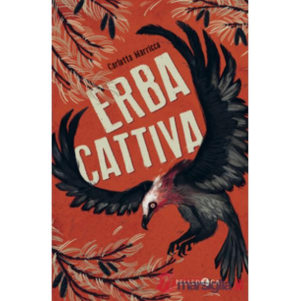 Erba cattiva