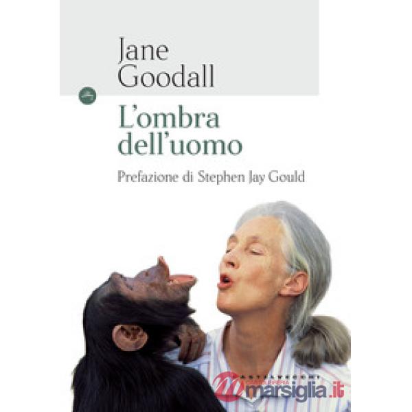 Ombra dell'uomo (L')
