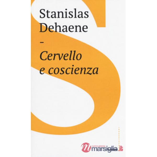 Cervello e coscienza