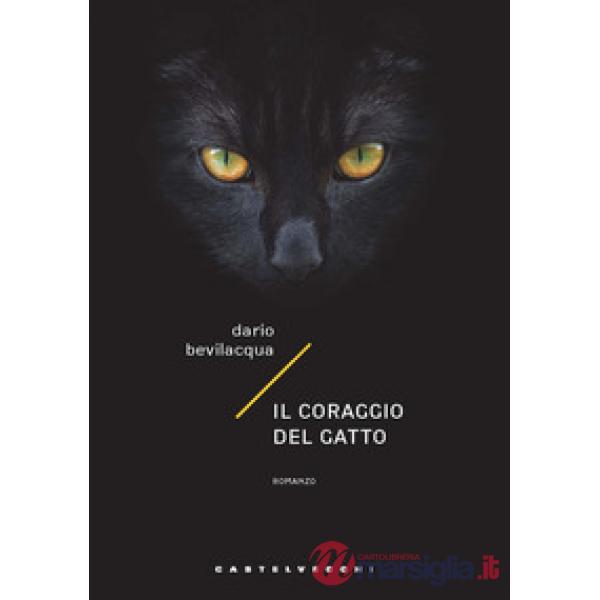 Coraggio del gatto