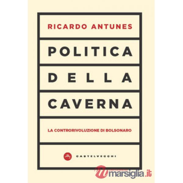 Politica della caverna