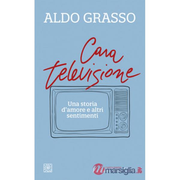 Cara televisione. Una storia d'amore e altri sentimenti