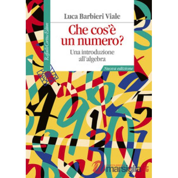 Che cos'è un numero? Una introduzione all'algebra. Nuova ediz.