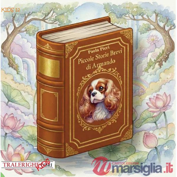 Piccole storie brevi di Armando. Libro in CAA