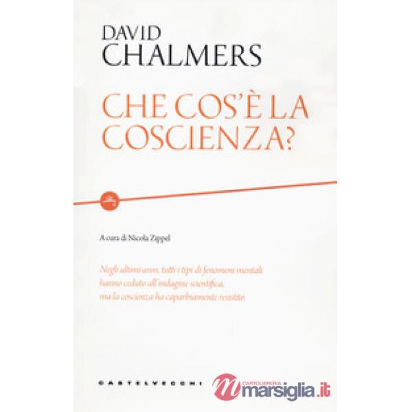 Che cos'è la coscienza?
