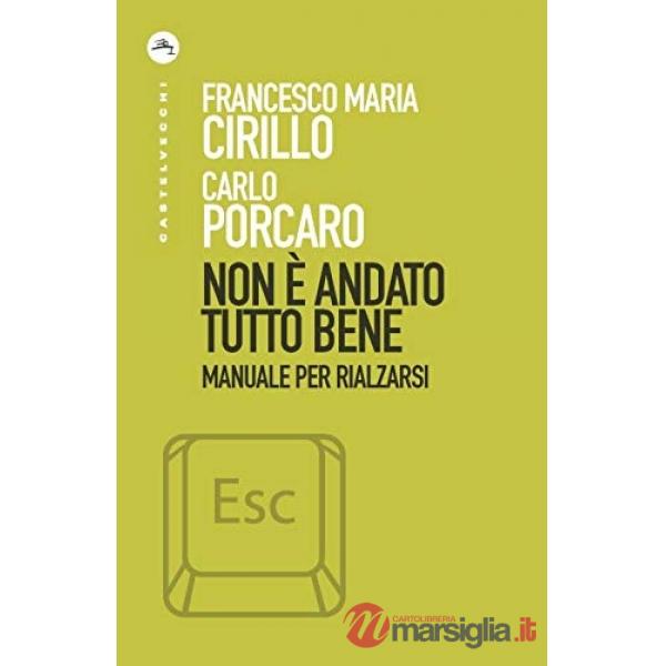 Non è andato tutto bene. Manuale per rialzarsi