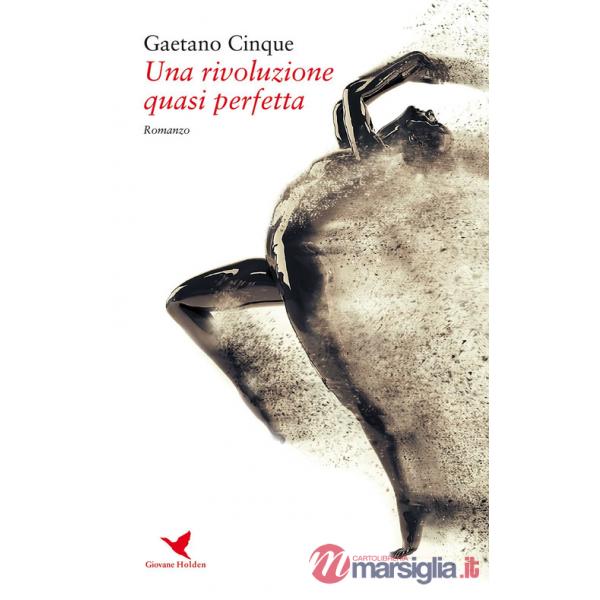 Rivoluzione quasi perfetta (Una)