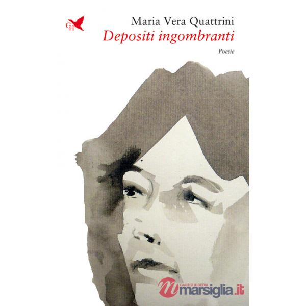 Depositi ingombranti