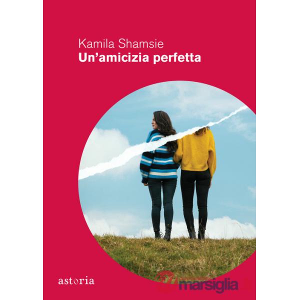 Amicizia perfetta (Un')