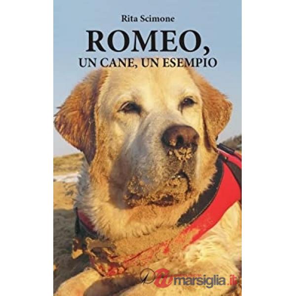 Romeo, un cane, un esempio