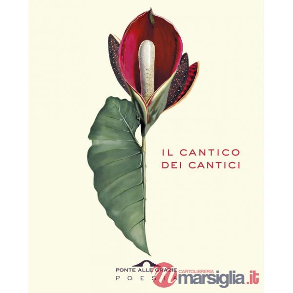 Cantico dei cantici. Testo ebraico a fronte (Il)
