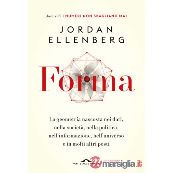 Forma. La geometria nascosta nei dati, nella società, nella politica, nell'informazione, nell'universo e in molti altri posti