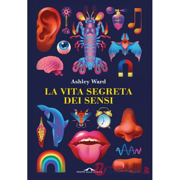 Vita segreta dei sensi (La)