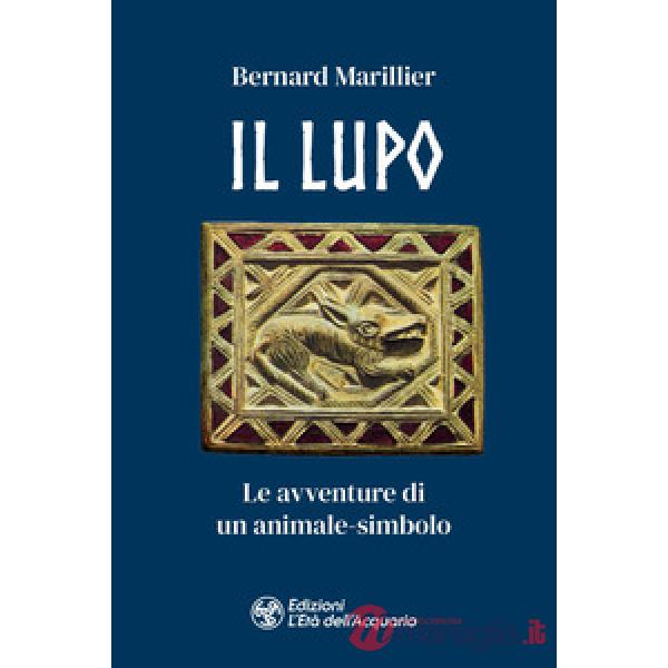 Lupo (Il)