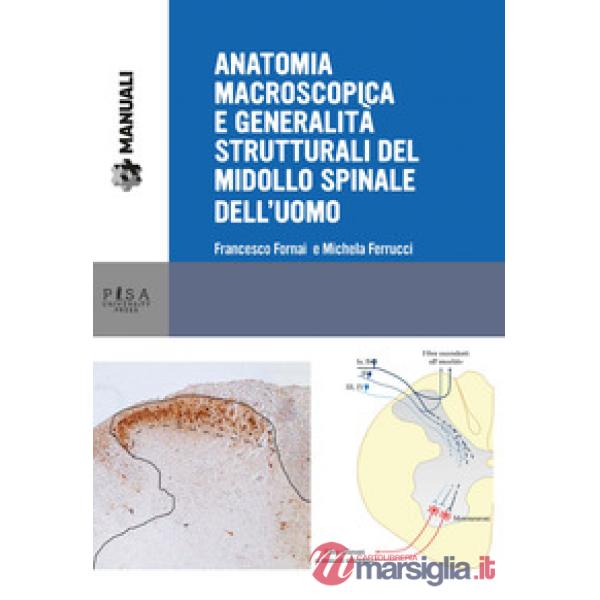 Anatomia macroscopica e generalità strutturali del midollo spinale dell'uomo