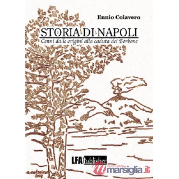 Storia di Napoli. Cenni dalle origini alla caduta dei Borbone