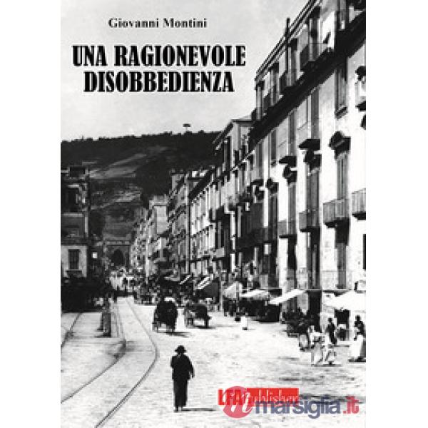 Ragionevole disobbedienza (Una)