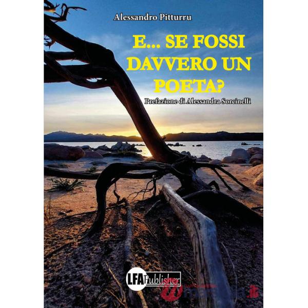 E... se fossi davvero un poeta?