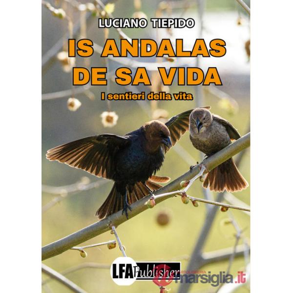 Is andalas de sa vida. I sentieri della vita