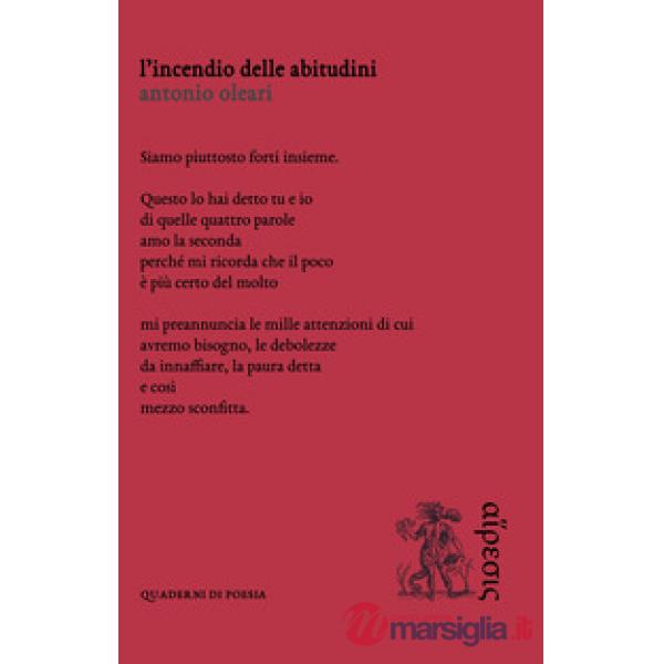 Incendio delle abitudini (L')
