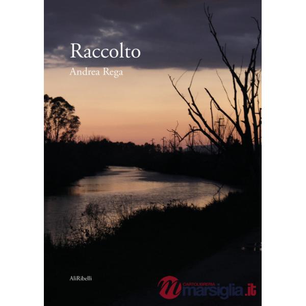 Raccolto