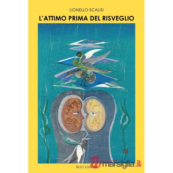 Attimo prima del risveglio (L')