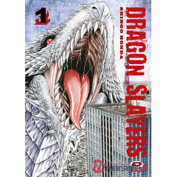 Dragon slayers. Vol. 1