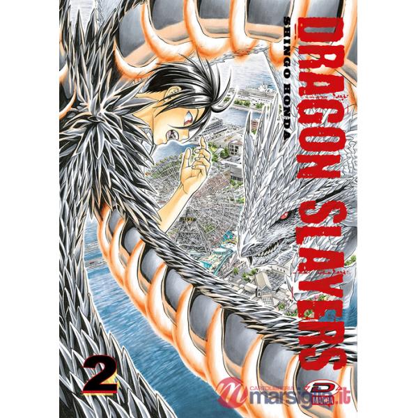 Dragon slayers. Vol. 2