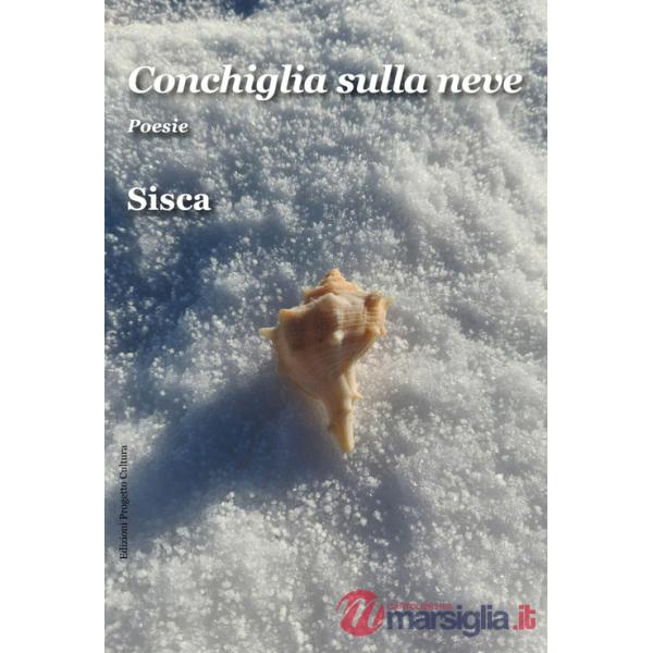 Conchiglia sulla neve