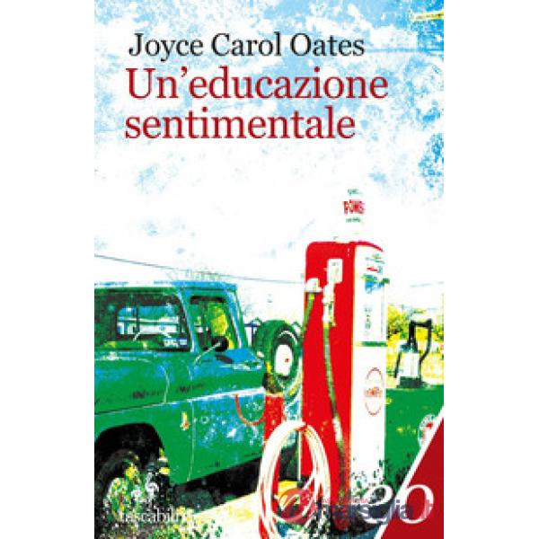 Educazione sentimentale (Un')